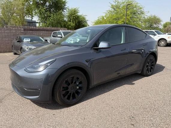 TESLA MODEL Y 2023 7SAYGDEE6PF859649 image